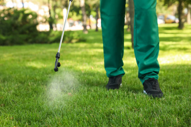 Best Pest Removal Services  in Ome, GA