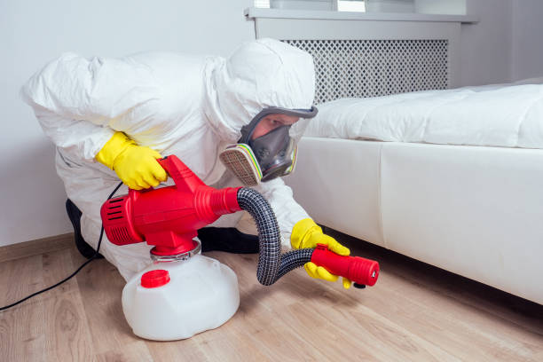 Best Local Pest Control Services  in Ome, GA