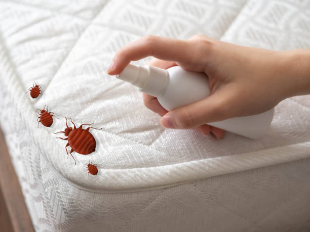 Best Exterminator Services  in Ome, GA
